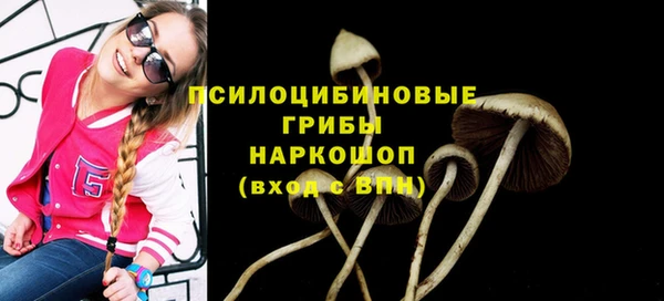 амф Медногорск