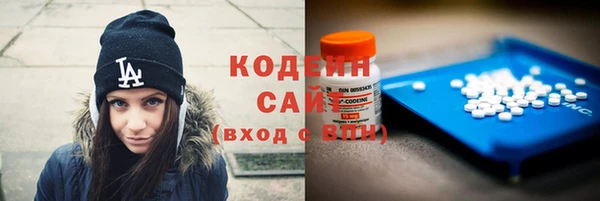 ECSTASY Алзамай