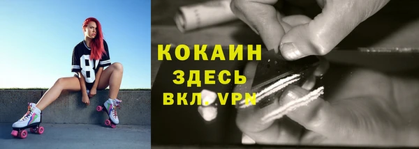 ECSTASY Алзамай