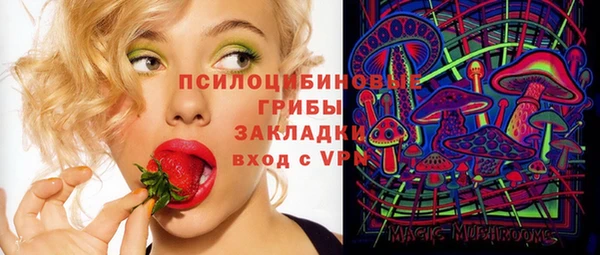 прущие грибы Мегион