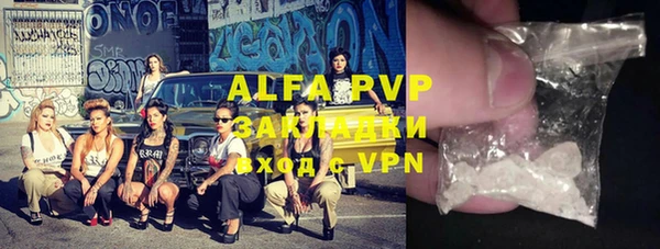 ECSTASY Алзамай