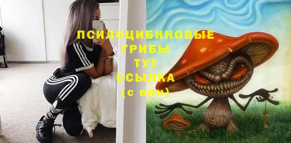 прущие грибы Мегион