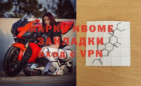 ECSTASY Алзамай