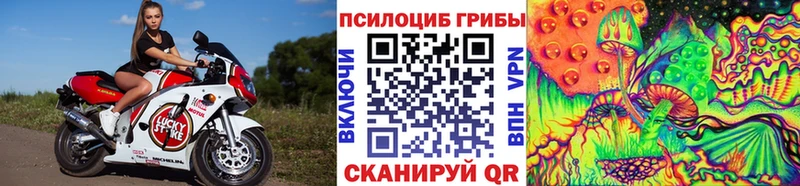 блэк спрут рабочий сайт  Приволжский  Галлюциногенные грибы Psilocybe 